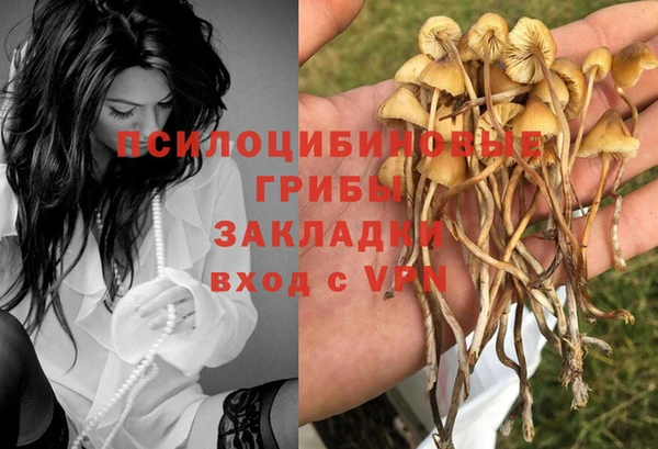 дживик Алексеевка